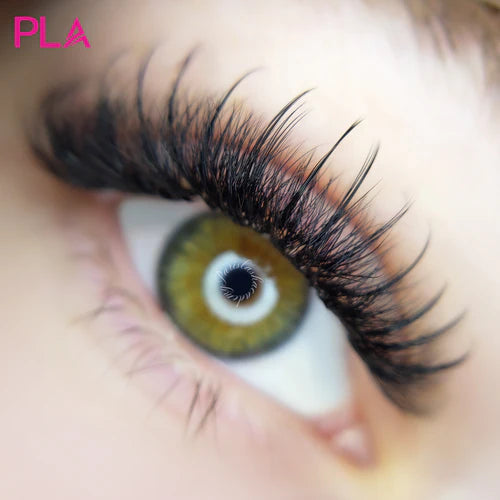 Lash Extensions Faq Top 10 Questions About Lash Extensions Answered Pla Pro Canada 2851