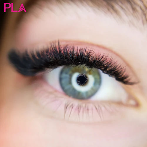 How To Use Short Lash Extensions: A Blog by PLA Canada