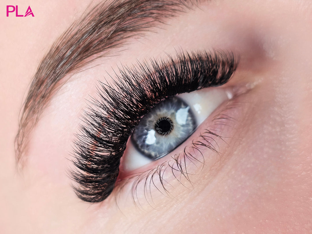 Does Winter Affect Lash Extensions? A Blog by PLA Canada