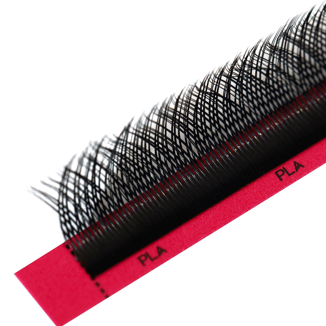 'YY' Lash tray from Paris Lash Academy (close up view of lashes on strip) 