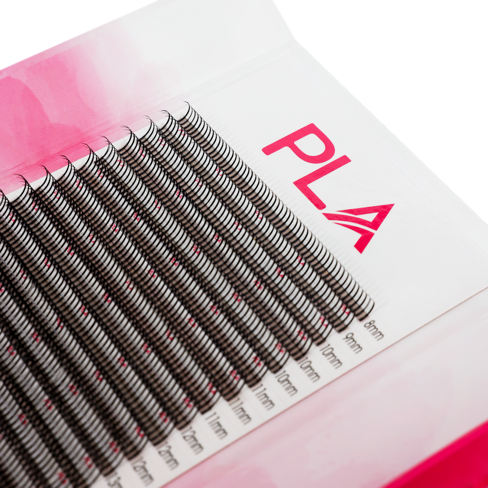 Wet Set Lashes from PLA Single Length (top side view of the open lash tray)